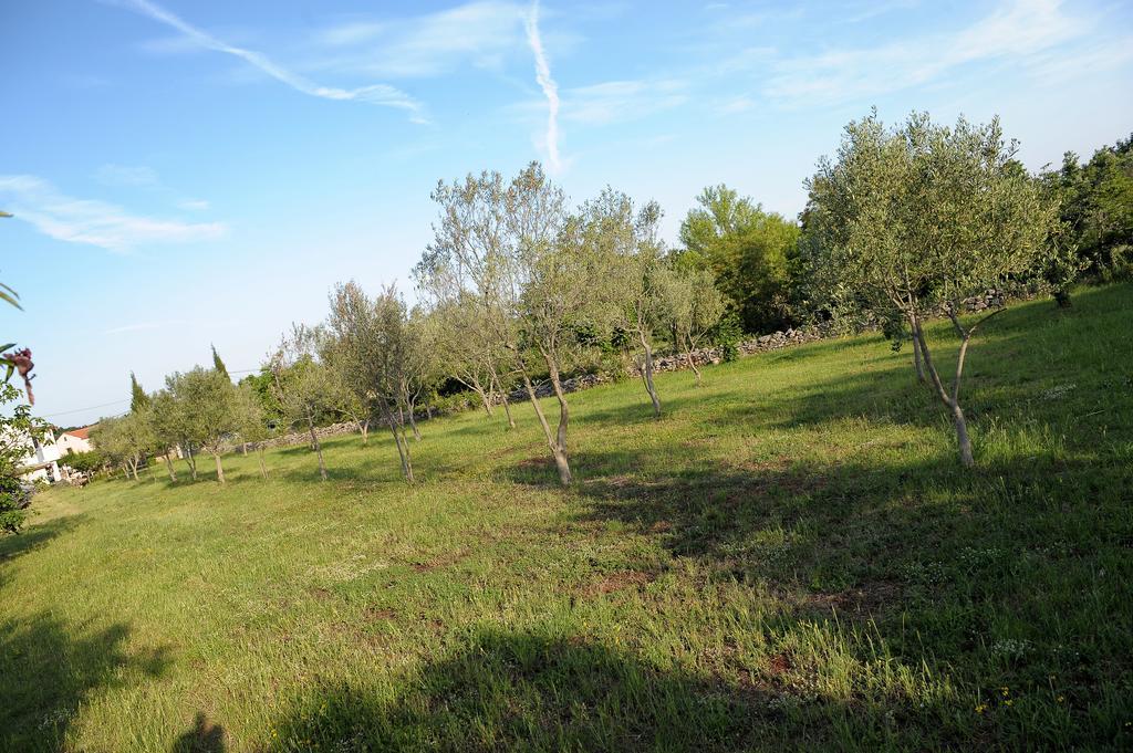 Holiday Home Dioniza Vodnjan Rom bilde